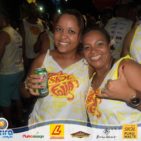 Bloco Skol Folia